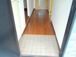 Pic1