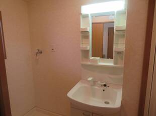 シャンプードレッサー