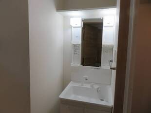 シャンプードレッサー