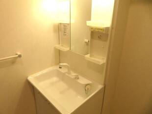 シャンプードレッサー