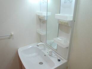 シャンプードレッサー