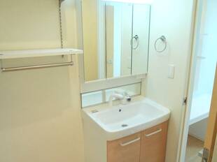 シャンプードレッサー