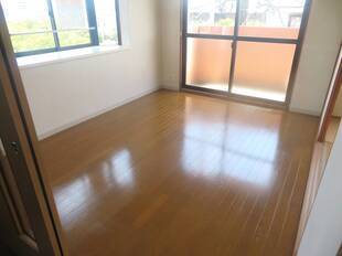 Pic11