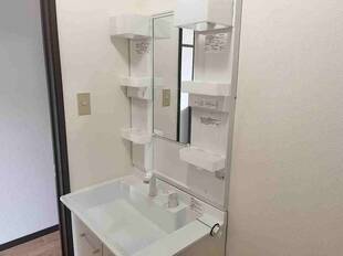 シャンプードレッサー