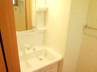 シャンプードレッサー