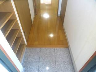 Pic1