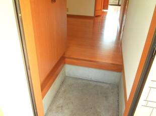 Pic1