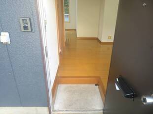 Pic1