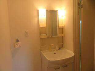 シャンプードレッサー