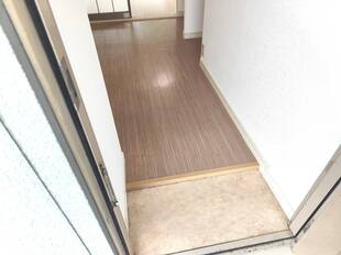 Pic1