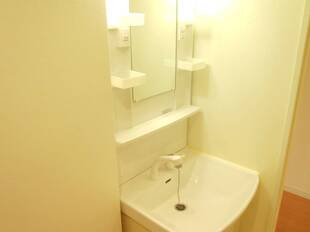 シャンプードレッサー