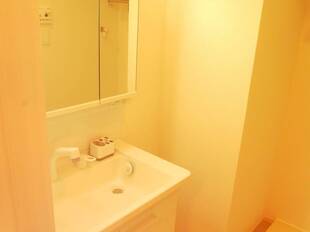 シャンプードレッサー