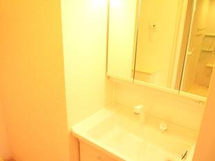 シャンプードレッサー