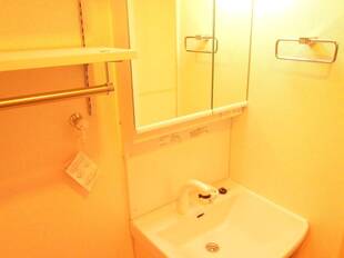 シャンプードレッサー