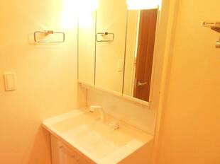 シャンプードレッサー