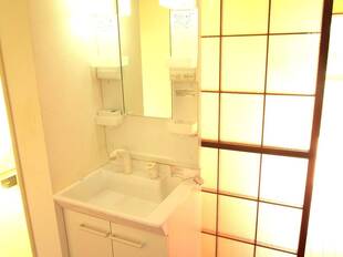 シャンプードレッサー