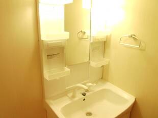 シャンプードレッサー