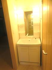 シャンプードレッサー