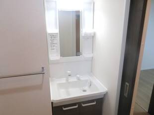 シャンプードレッサー