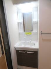 シャンプードレッサー