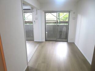 洋室（ウォークインクローゼットから）