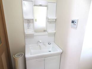 シャンプードレッサー