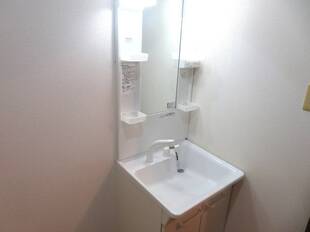 シャンプードレッサー