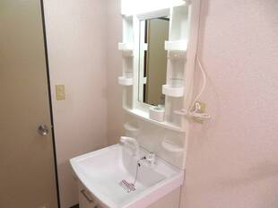 シャンプードレッサー