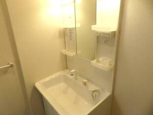 シャンプードレッサー