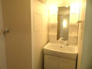 シャンプードレッサー