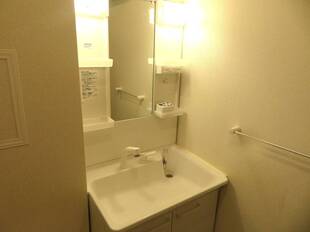 シャンプードレッサー