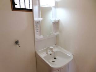 シャンプードレッサー