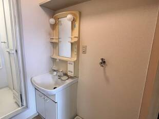 シャンプードレッサー