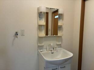 シャンプードレッサー