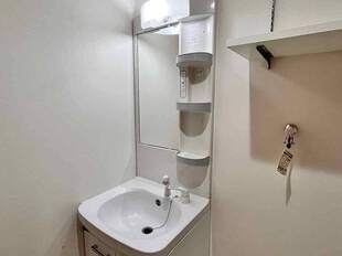 シャンプードレッサー