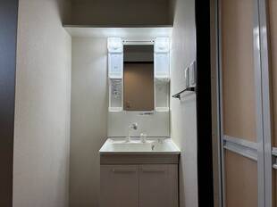 シャンプードレッサー