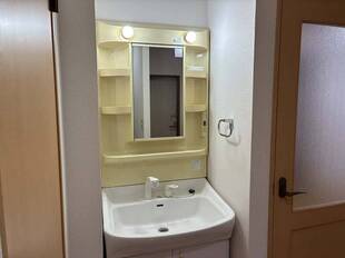 シャンプードレッサー