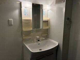 シャンプードレッサー