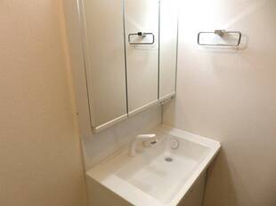 シャンプードレッサー