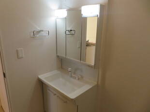 シャンプードレッサー