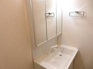 シャンプードレッサー