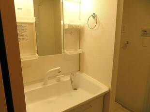 シャンプードレッサー