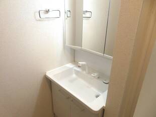 シャンプードレッサー