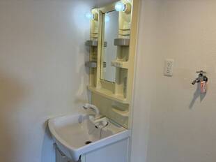 シャンプードレッサー