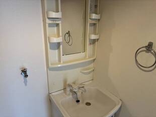 シャンプードレッサー