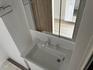 シャンプードレッサー