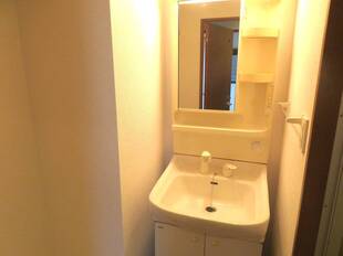 シャンプードレッサー