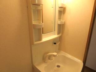 シャンプードレッサー