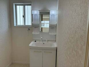 シャンプードレッサー