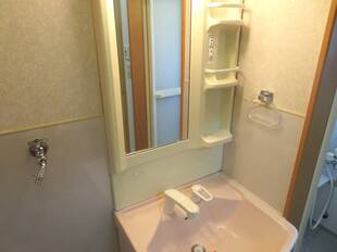 シャンプードレッサー